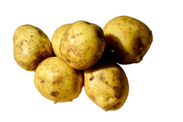 Young potato isolated on white background. Harvest new.