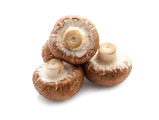 champignon mushrooms on white background