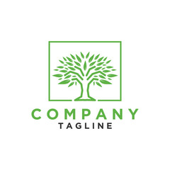 Tree logo design or tree symbol, icon for nature business