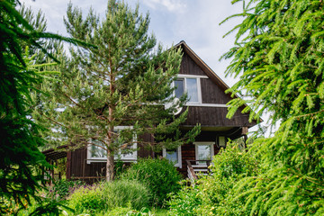 Black, painted, wooden, planked house with trees, bushes and other plants