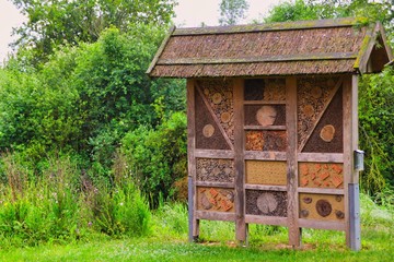 Insektenhotel