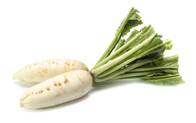 fresh white radish with slices isolated on white background