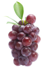 red grape  isolated on white
