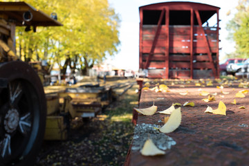 Autumn leaves falling on old rail road track