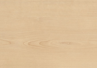 Wood oak tree close up texture background. Wooden floor or table with natural pattern. Good for any interior design