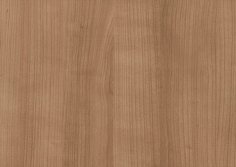 Wood oak tree close up texture background. Wooden floor or table with natural pattern. Good for any interior design