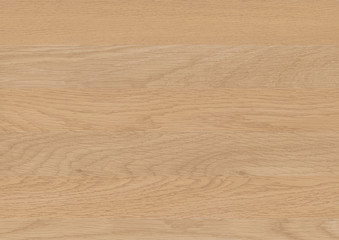 Wood oak tree close up texture background. Wooden floor or table with natural pattern. Good for any interior design