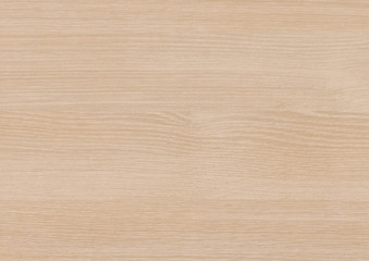 Wood oak tree close up texture background. Wooden floor or table with natural pattern. Good for any interior design