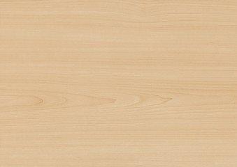 Wood oak tree close up texture background. Wooden floor or table with natural pattern. Good for any interior design