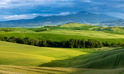 Beautifully illuminated landscape of Tuscany . green hills