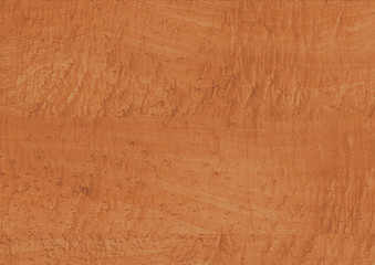 Wood oak tree close up texture background. Wooden floor or table with natural pattern. Good for any interior design