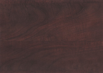 Wood oak tree close up texture background. Wooden floor or table with natural pattern. Good for any interior design