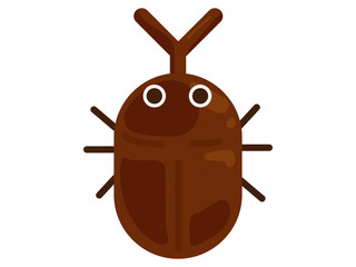 カブトムシの雄