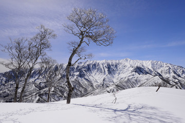 冬の荒沢岳（日本二百名山）　日向倉山から望む