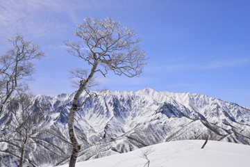 冬の荒沢岳（日本二百名山）　日向倉山から望む