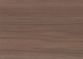 Wood oak tree close up texture background. Wooden floor or table with natural pattern. Good for any interior design