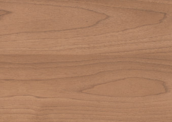 Fototapeta premium Wood oak tree close up texture background. Wooden floor or table with natural pattern. Good for any interior design