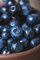 Bilberry, wild berry close-up. Blueberry