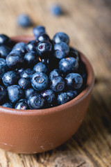 Bilberry, wild berry close-up. Blueberry