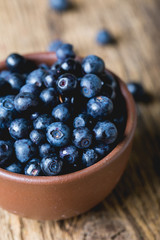 Bilberry, wild berry close-up. Blueberry