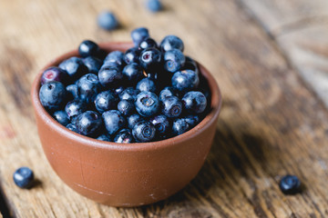 Bilberry, wild berry close-up. Blueberry