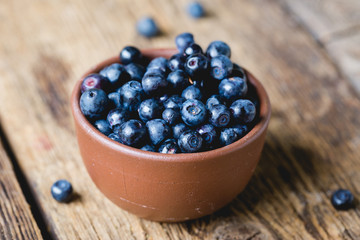 Bilberry, wild berry close-up. Blueberry
