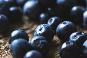 Bilberry, wild berry close-up. Blueberry