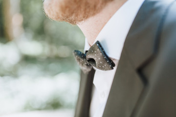 Fliege Bräutigam Mann