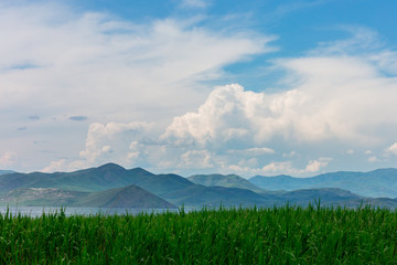 sea landscape with mountines and canes, blue sky with clouds, cloudly without sun, kazakhstan