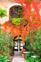 Fototapeta premium The enterance to the garden of the restaurant;dining-room;Joching;Weingut Holzapfel;Vienna;Austria