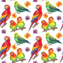 seamless watercolor pattern with tropical birds and flowers. Exotic parrots: macaws, lovebirds, budgerigar. Suitable for textile, wrapping paper, Wallpaper and backgrounds.