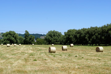 Strohballen auf einem Feld beim Ackerbau