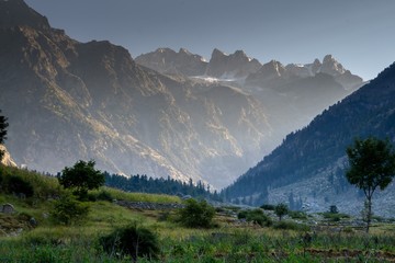 Light hitting the alpine meadow and cedar pine trees and rocks 