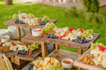 Assorted Natural and Healthy Organic Cheese Cheder Gouda Parmesan and Fruit berries bread sticks and nuts for the feast of young Wine Catering service.