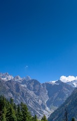 Fototapeta premium Light hitting the alpine meadow and cedar pine trees and rocks 