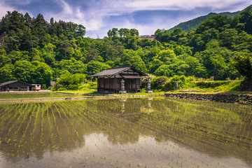 Shirakawa-go - May 27, 2019: The rice fields in the village of Shirakawa-go, Japan
