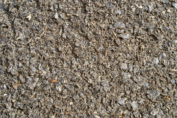 Background texture of crushed seed and grain mix for livestock and bird feed