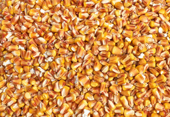 Background texture of crushed seed and grain mix for livestock and bird feed