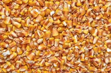 Background texture of crushed seed and grain mix for livestock and bird feed
