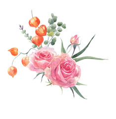 Hand-drawn flower watercolor illustration. Autumn bouquet with eucalyptus leaves, rose and physalis isolated on white background. Illustration for design, background or print.