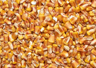 Background texture of crushed seed and grain mix for livestock and bird feed