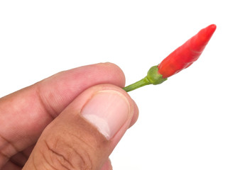 Red pepper on hand on a white background