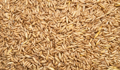 Background texture of crushed seed and grain mix for livestock and bird feed