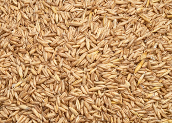 Background texture of crushed seed and grain mix for livestock and bird feed