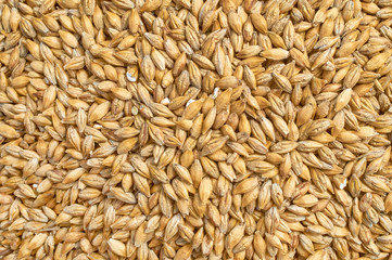Background texture of crushed seed and grain mix for livestock and bird feed