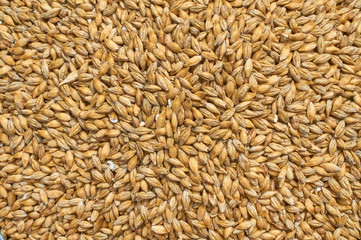 Background texture of crushed seed and grain mix for livestock and bird feed