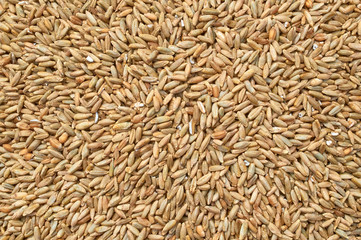 Background texture of crushed seed and grain mix for livestock and bird feed