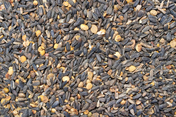 Background texture of crushed seed and grain mix for livestock and bird feed