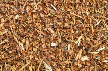 Background texture of crushed seed and grain mix for livestock and bird feed