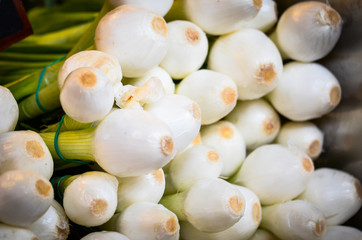 fresh vegetables close up - tomatoes, cucumber, garlic, red onion, spring onion, radish, artichokes, asparagus, eggplant, mushrooms